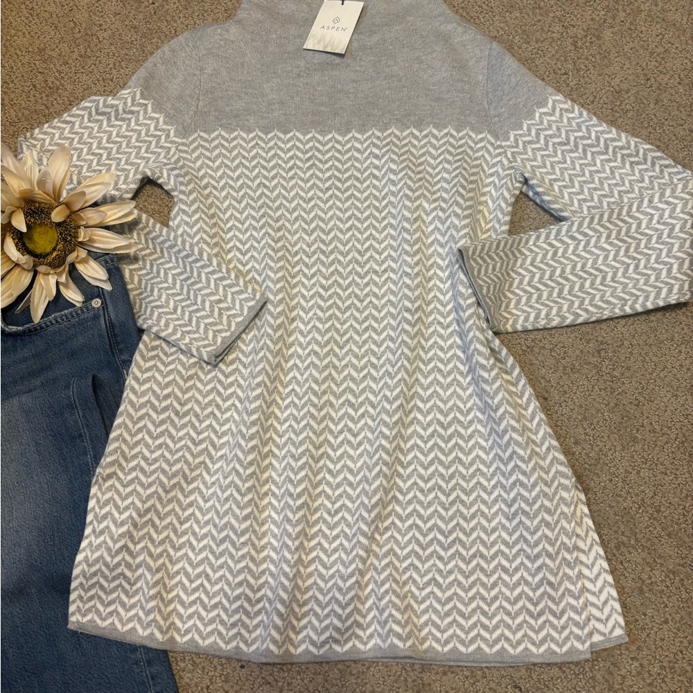 🆕Bnwt Aspen Gray and White Chevron Sweater Dress